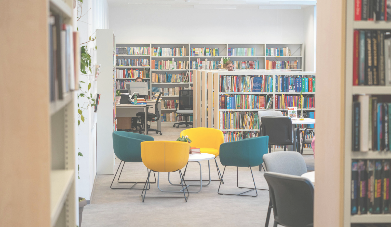 Beyond Books - Discover Your Local Library of Things This Summer
