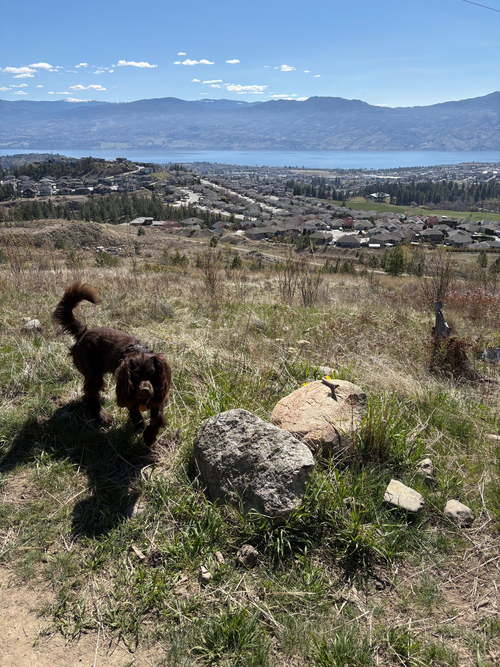 Smith Creek trail in West Kelowna with valley views Smith Creek trail in West Kelowna with valley views