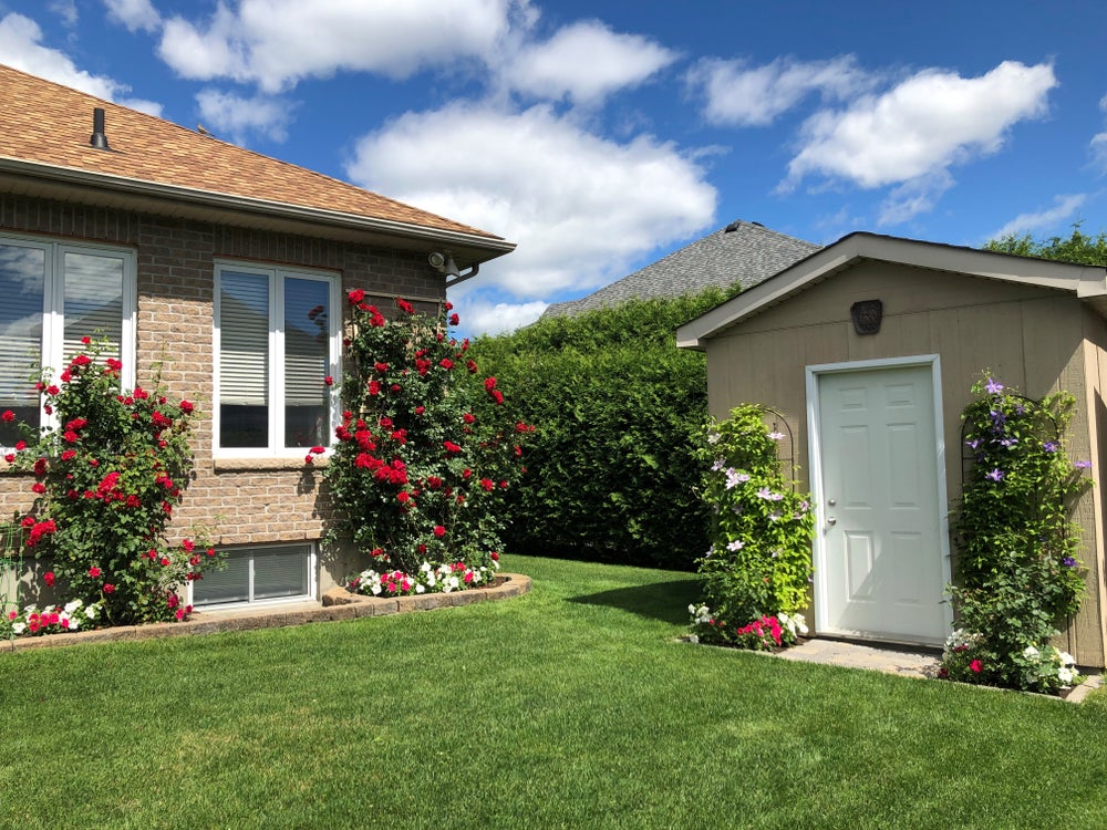 49 Brightside Ave, Stittsville - (back garden view) (Stittsville home for sale)