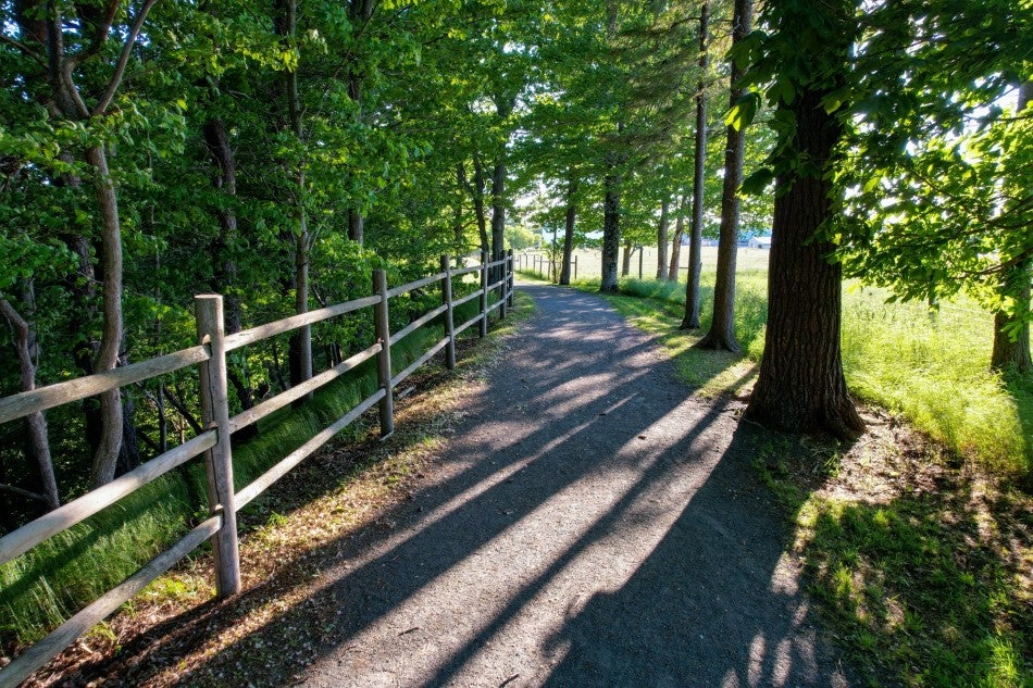 Walking trail in Bible Hill with wooden fence and tree-lined path in summer