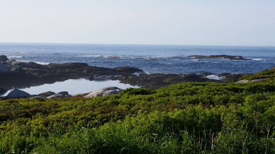Rocky shoreline along St. Margaret’s Bay with calm coastal waters and green foreground vegetation in Nova Scotia