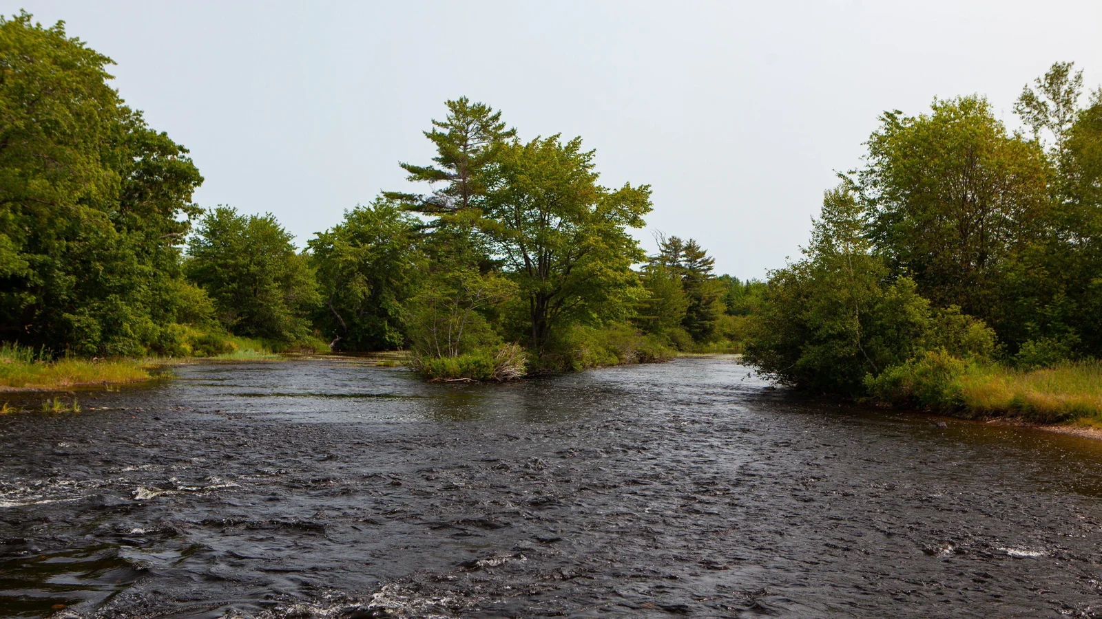 Shubenacadie River flowing through a wooded area near Elmsdale, Nova Scotia, with trees along the banks and calm moving water