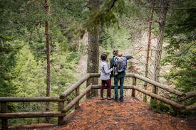 Walking trail viewpoint in Victoria Park, Truro surrounded by trees and natural forest landscape