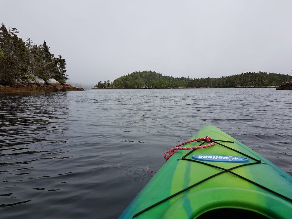 Kayaking on calm coastal waters in St. Margaret’s Bay with forested shoreline and rocky coastline in Nova Scotia