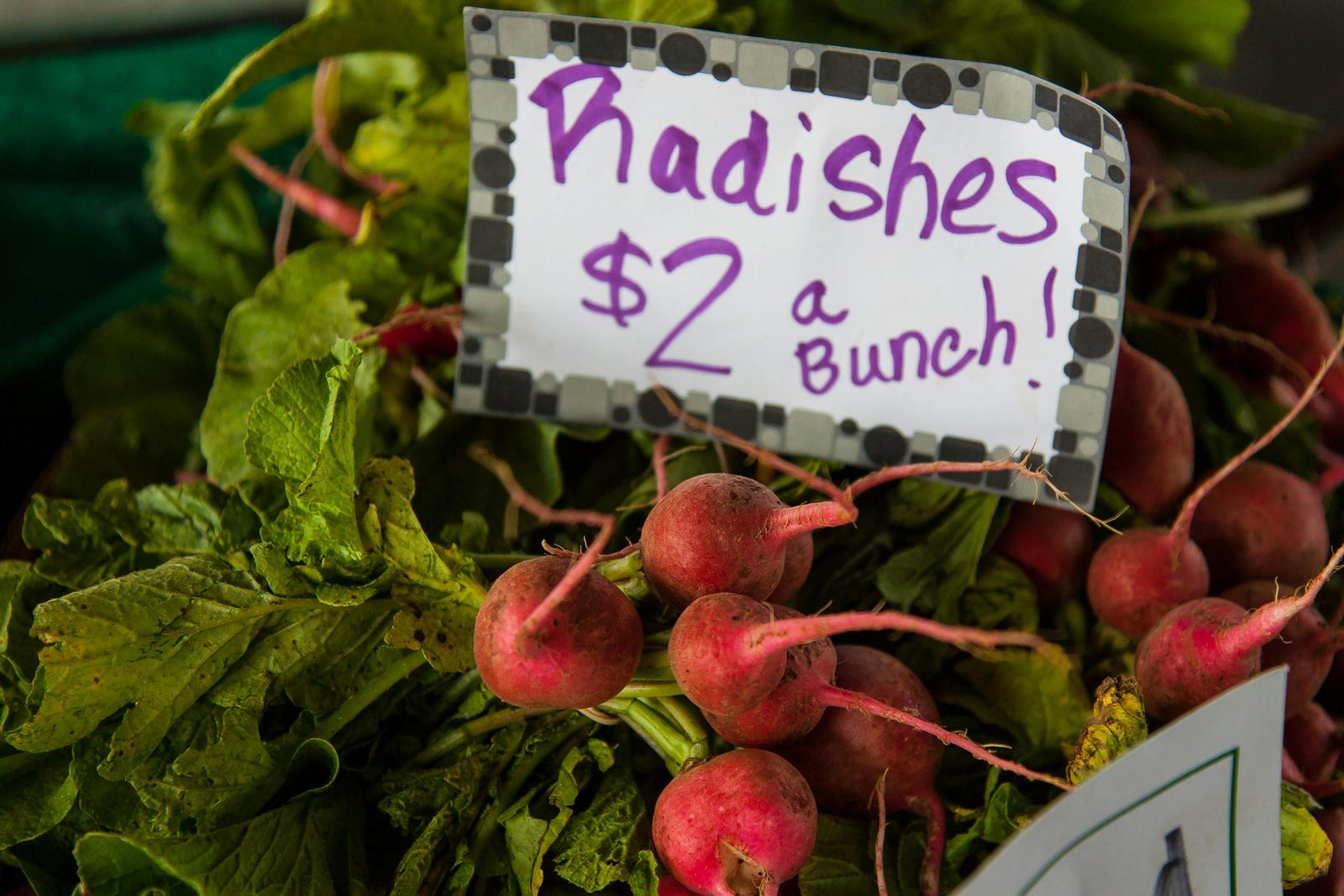 Radishes with a handwritten price sign representing how sellers set an asking price for goods or homes.