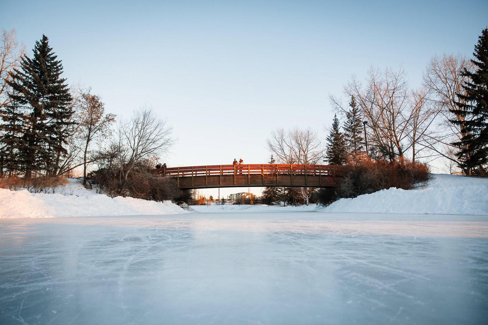 Bower Ponds in Winter