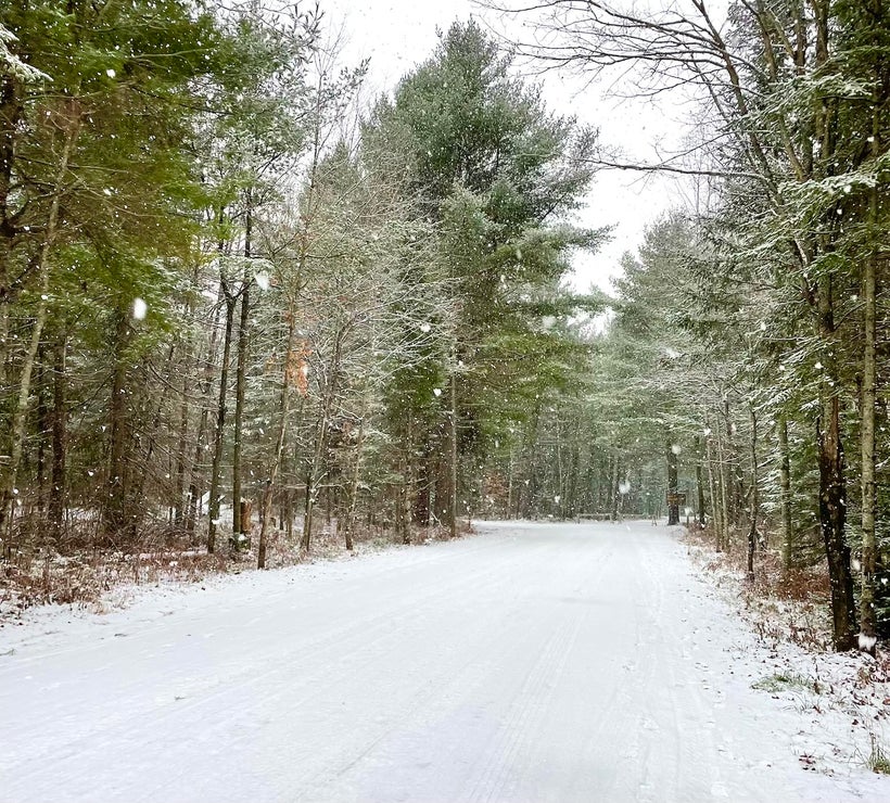 Snowy Road in Muskoka Snow Evergreen Road in Muskoka