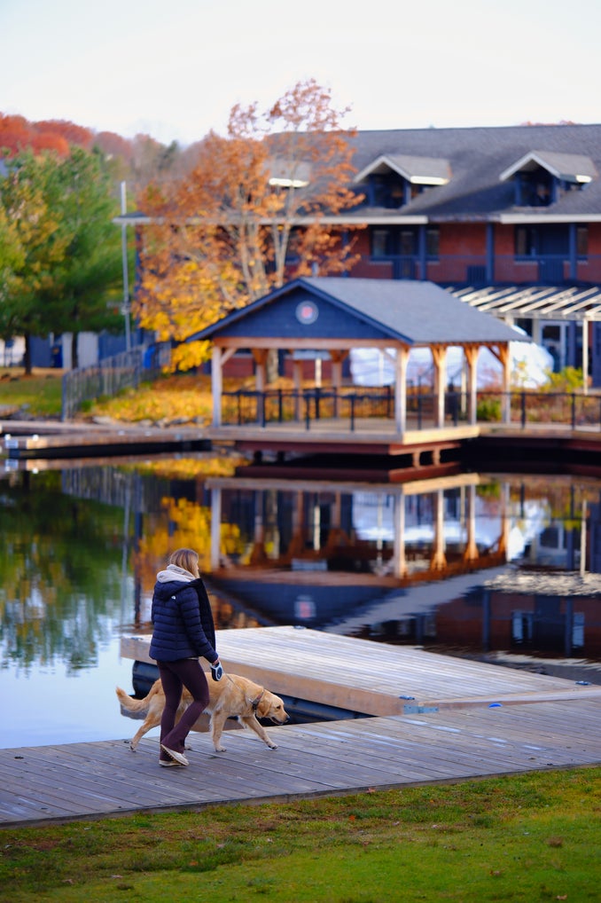 Downtown Huntsville Downtown Huntsville Muskoka, women walking dog