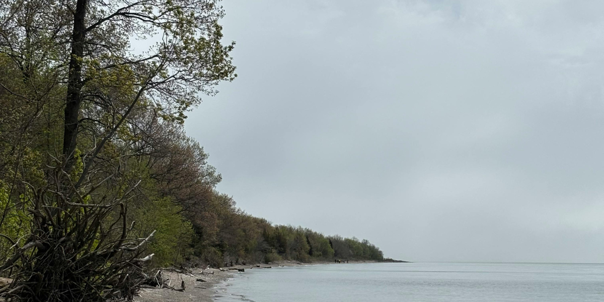 Agent and couple reviewing Durham Region property brochure