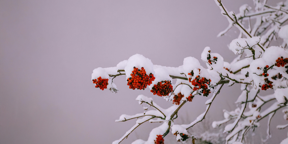 Couple walking past diverse Oshawa homes