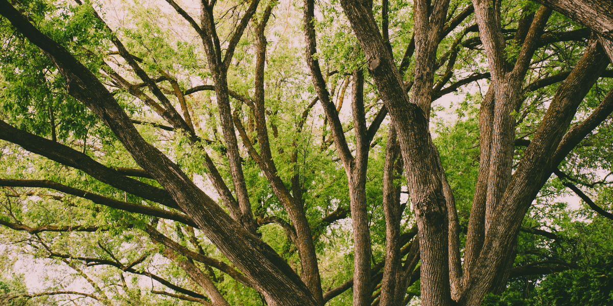 Durham Region real estate