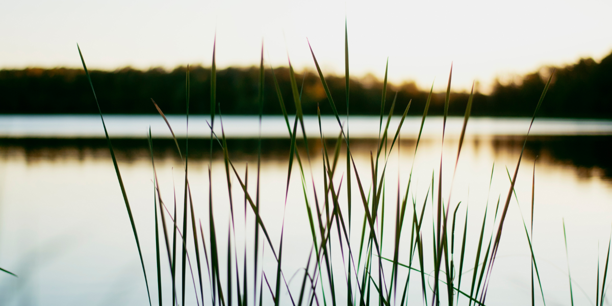 Real estate agent outside Whitby office