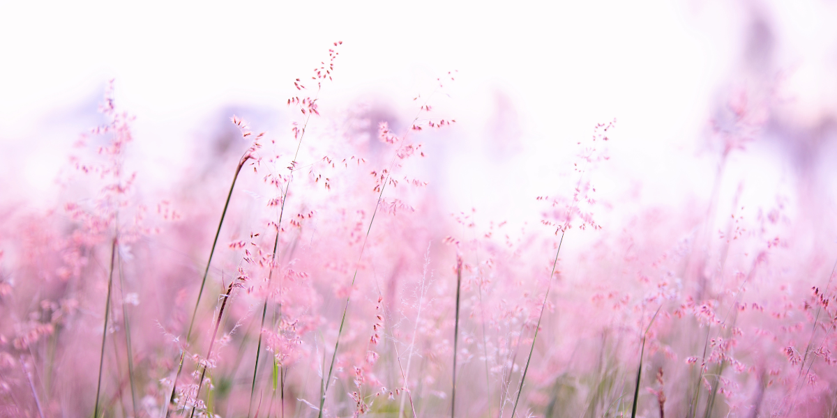 Oshawa realtor meeting