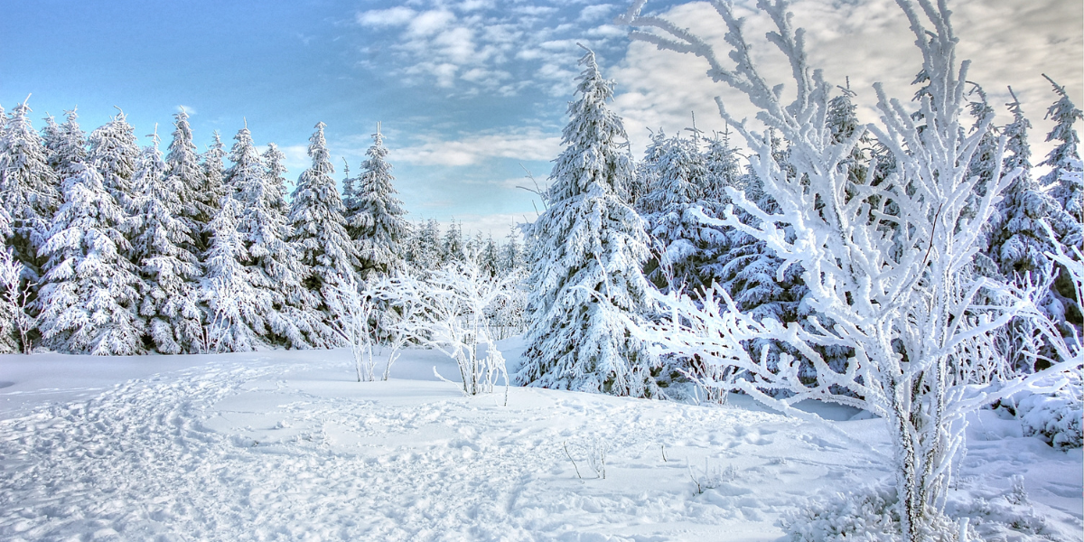 selling home in winter