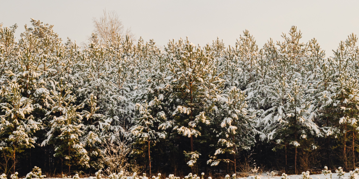 Young couple reviews home papers outside Oshawa house
