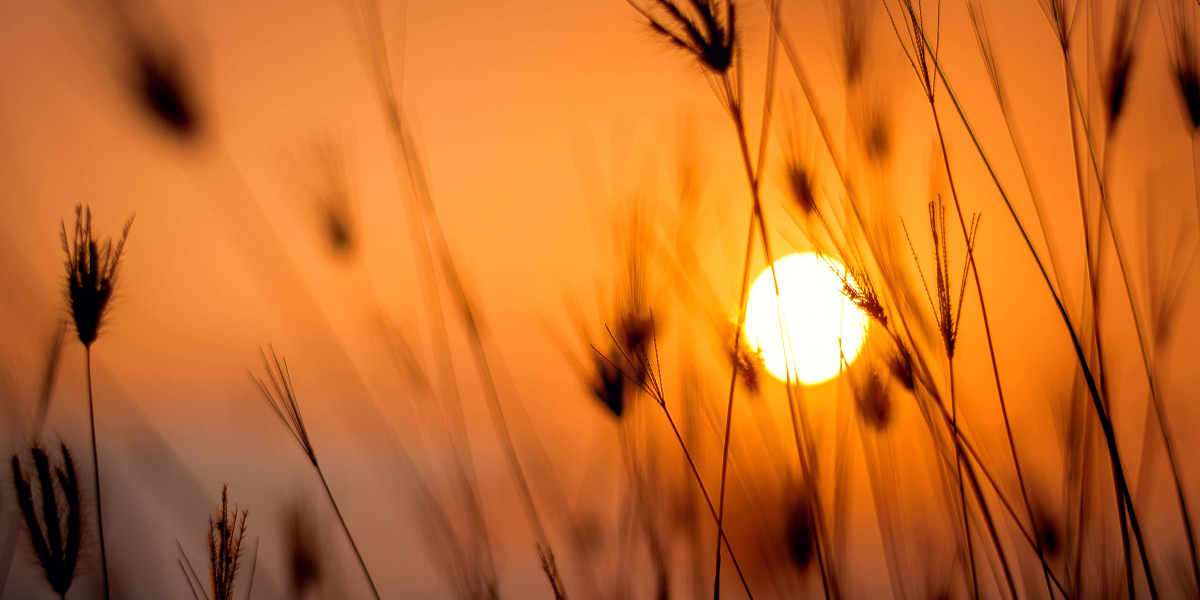 Couple and real estate agent review home buying checklist in Oshawa