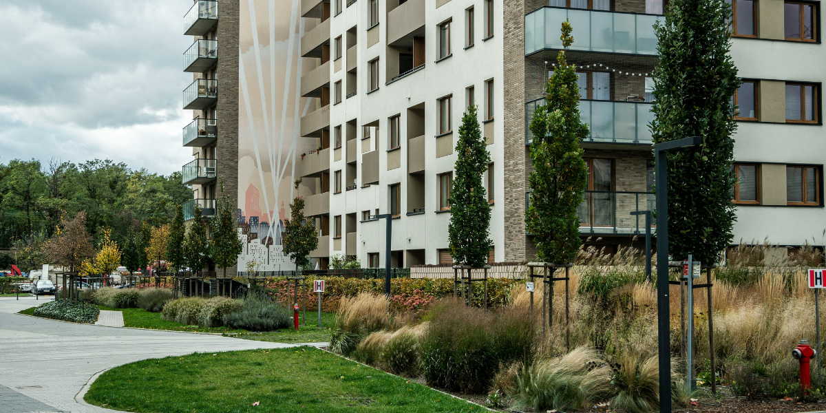 Durham real estate agent reviewing property brochure