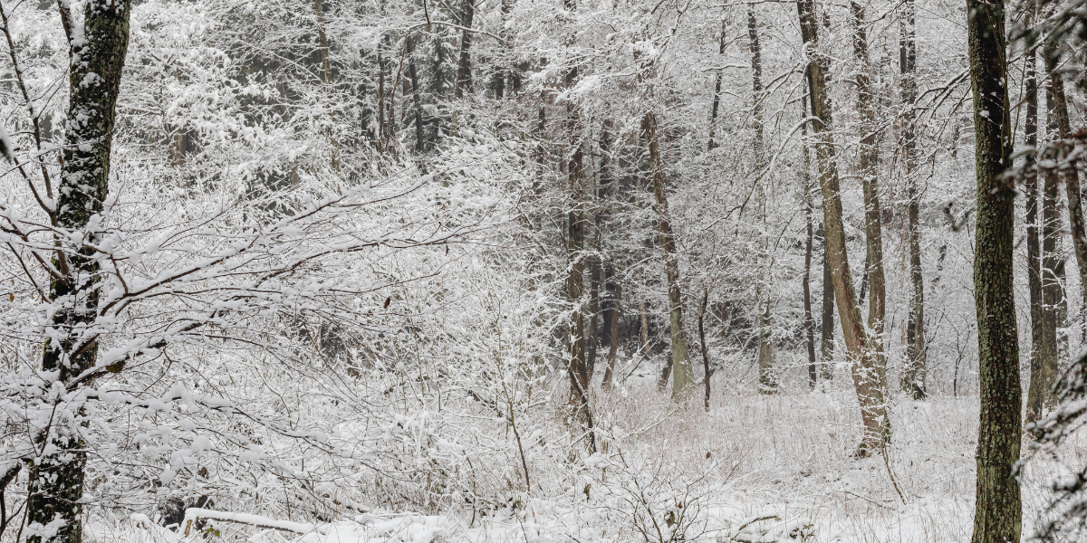 Agent reviewing Durham Region home exterior