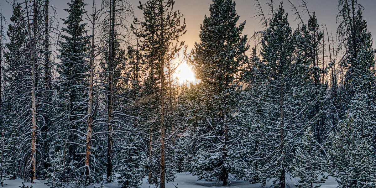 Real estate agent beside home for sale Oshawa