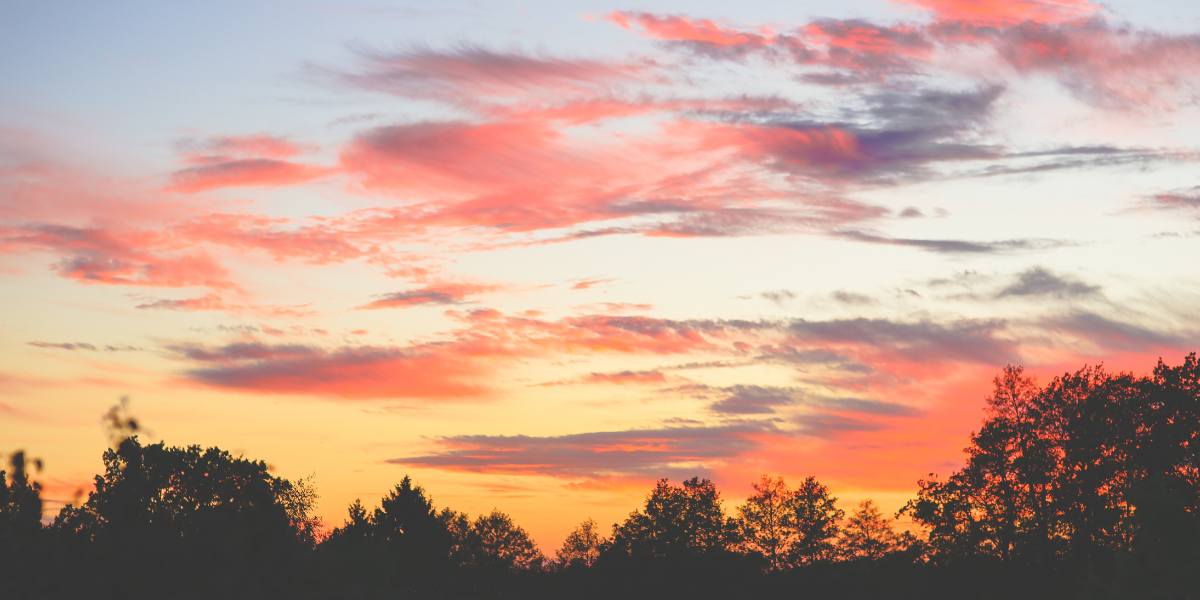 oshawa real estate office