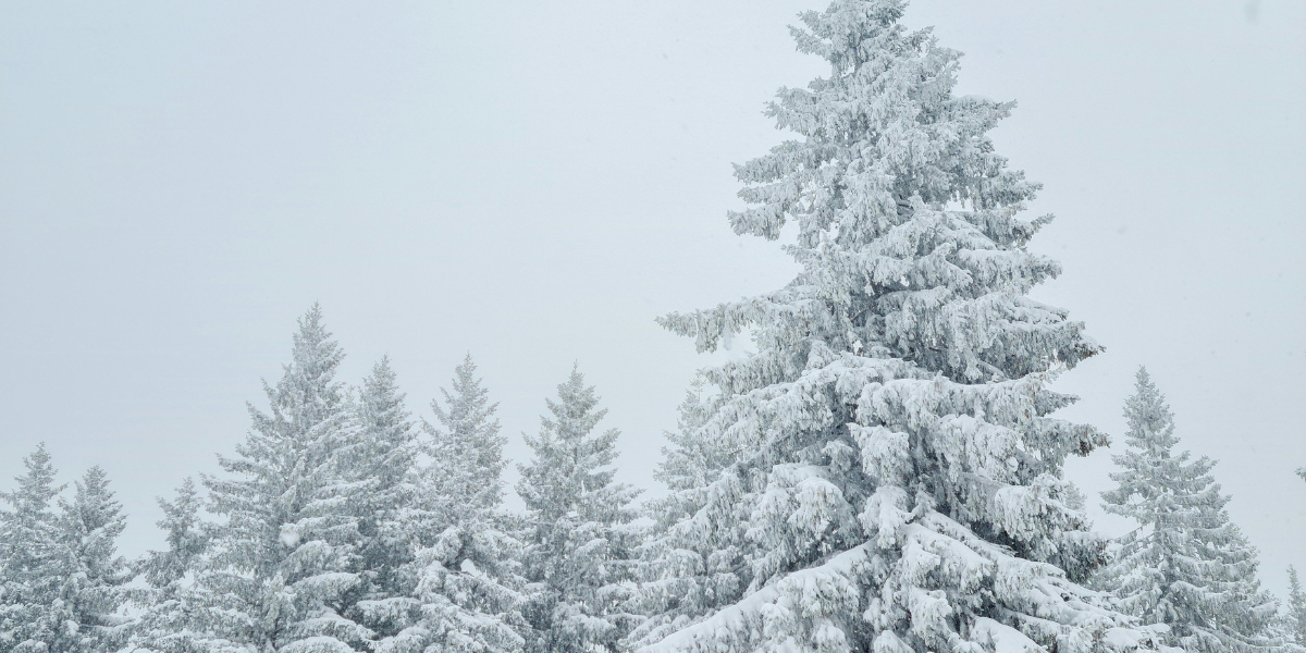 Couple consulting real estate agent in Oshawa