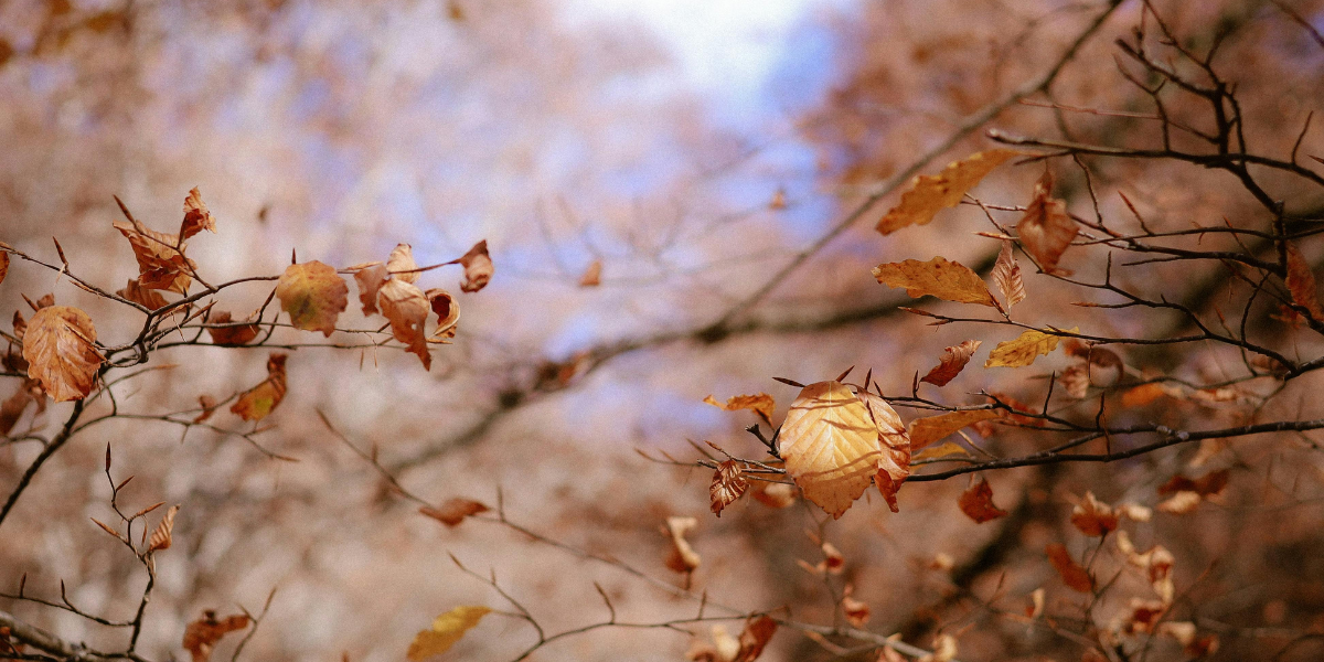 Agent showing new buyers Oshawa home