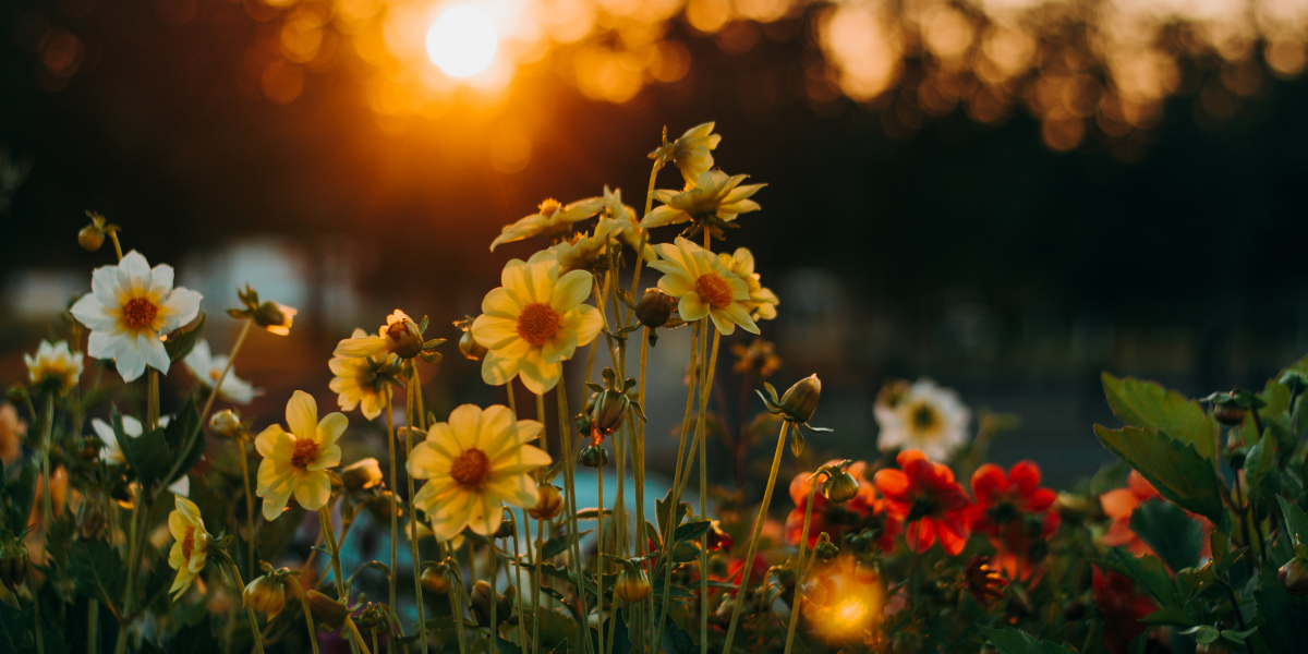 Oshawa home consultation