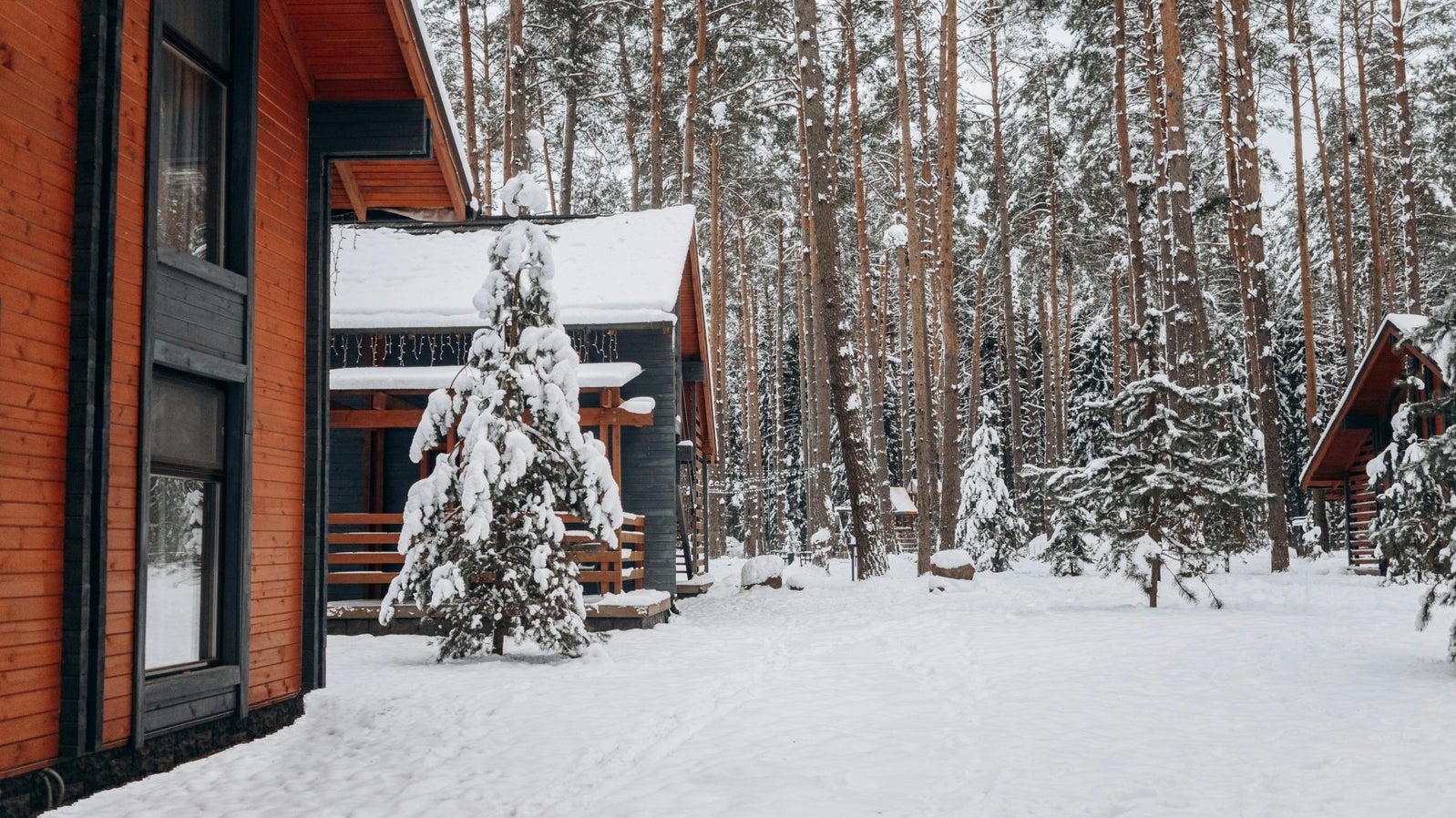 Muskoka Cottage in Winter