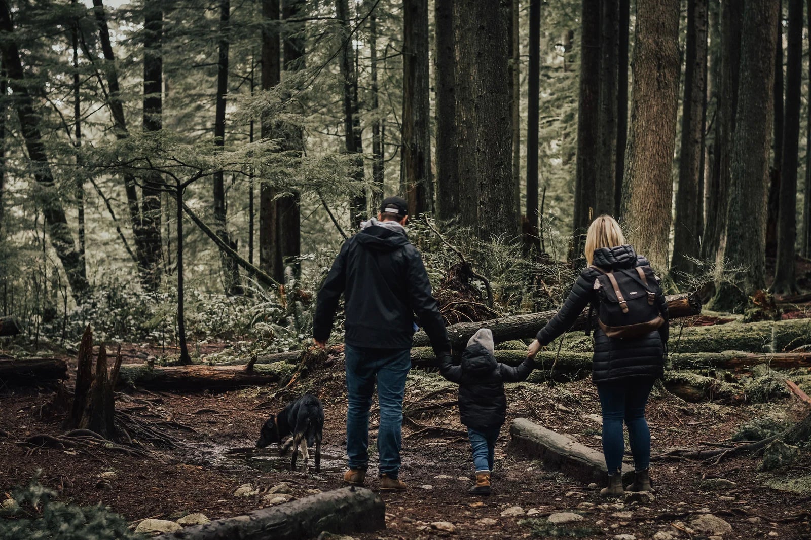 Lynn Valley properties for sale