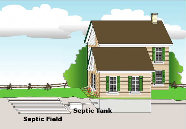 sketch of septic system in Muskoka