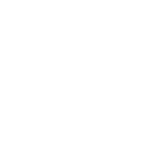 Deanna Noyce PREC Logo