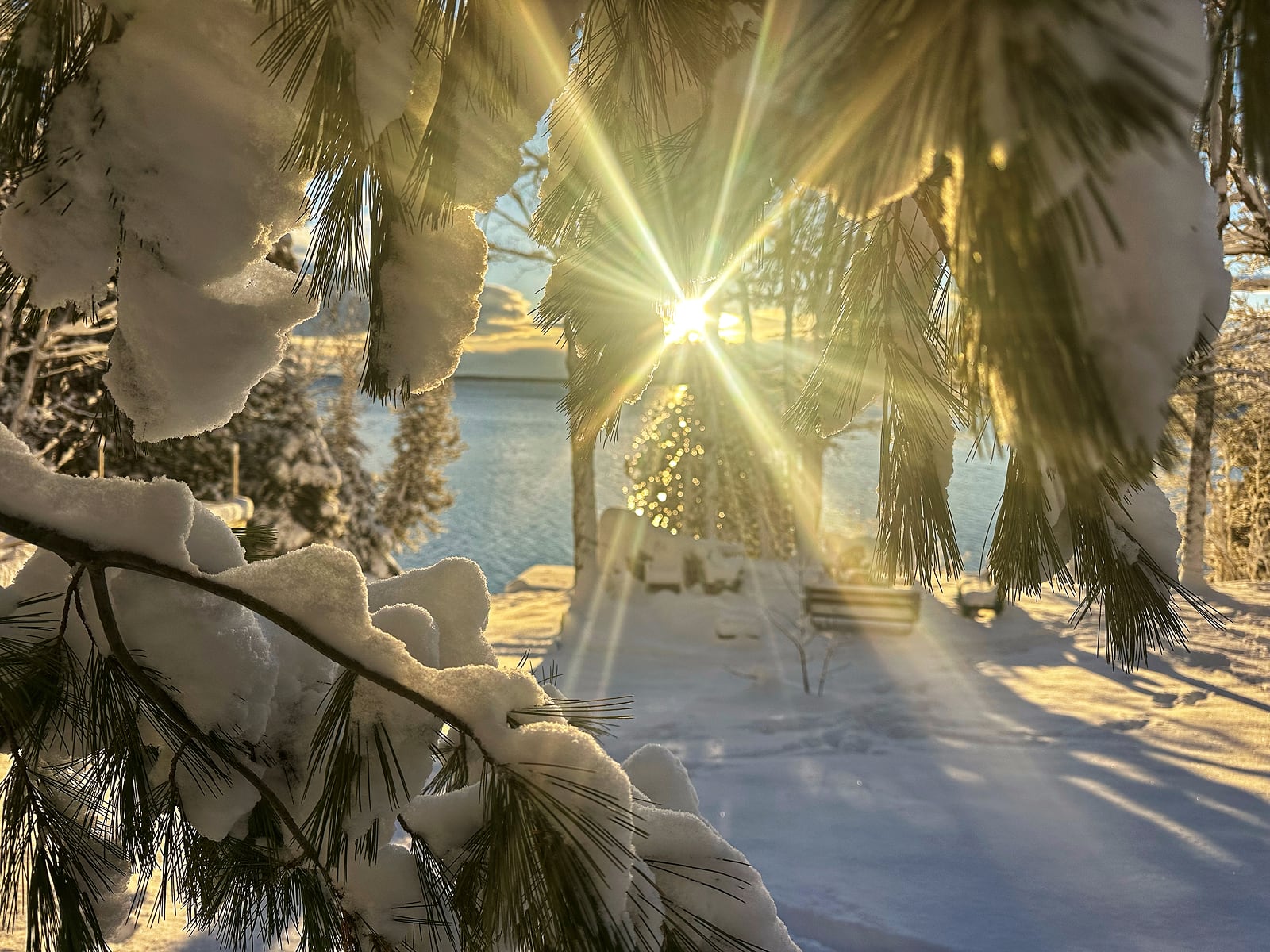 Snow covered trees and morning sunray in winter on Manitoulin Island.