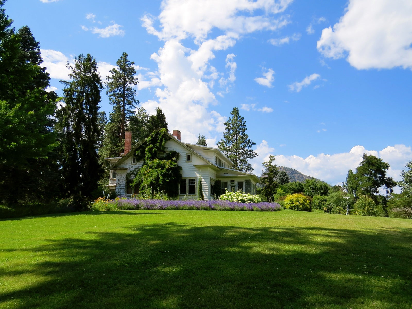 Rural home surrounded by lawn and mature trees on Vancouver Island