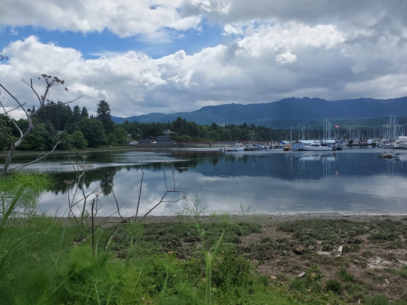 Marina and coastal mountains on Vancouver Island, British Columbia