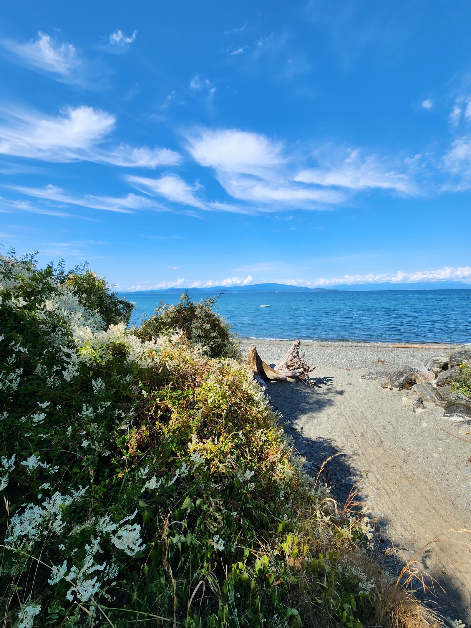 Bowser and Deep Bay coastline on Vancouver Island