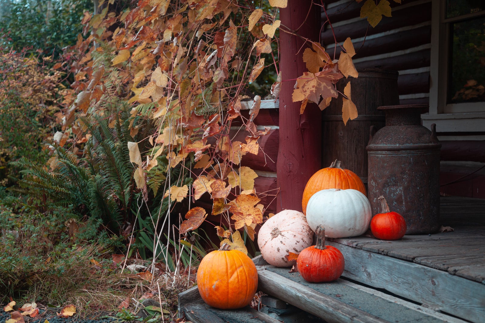 Rustic front porch decorated with pumpkins and autumn leaves.
