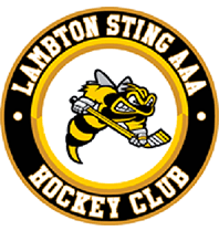 Sarnia Girls Hockey / Ladies Sting