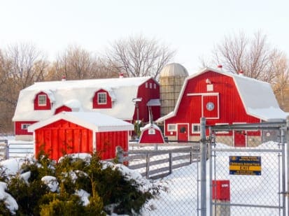 activities-farm