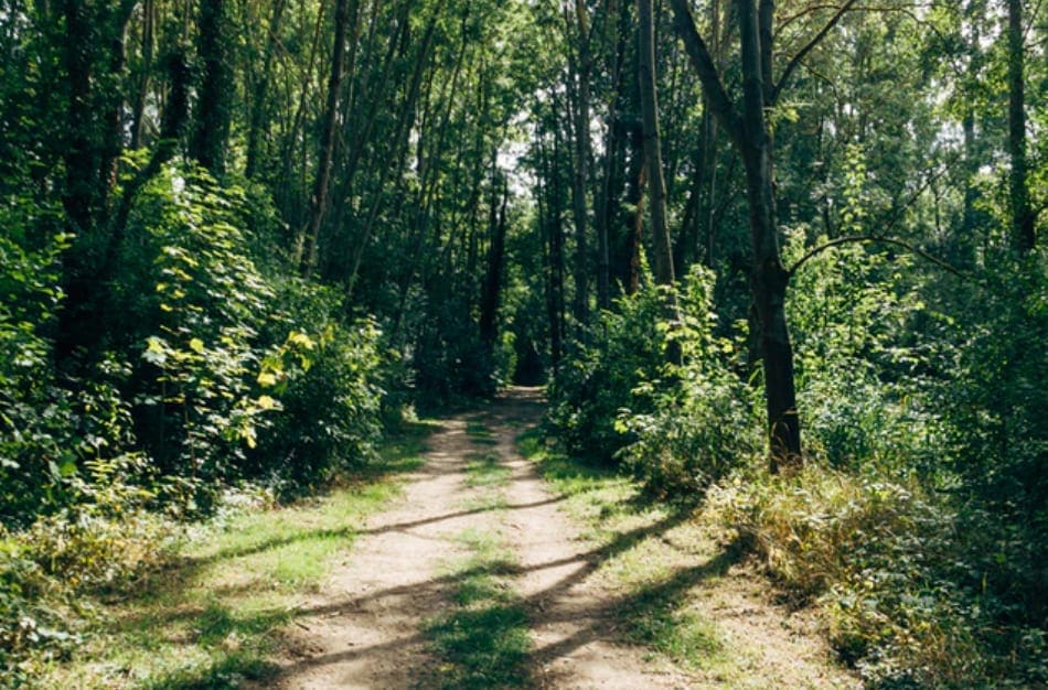 north-Sarnia-trails