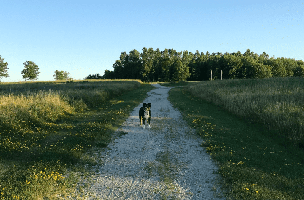 Trails and Beaches in Central and South Sarnia
