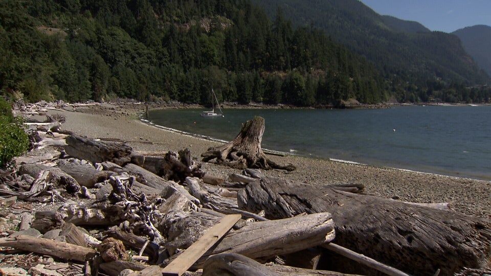 Serene beach view in Lions Bay, with driftwood along the shore and lush green mountains in the background, highlighting peaceful living opportunities in the area