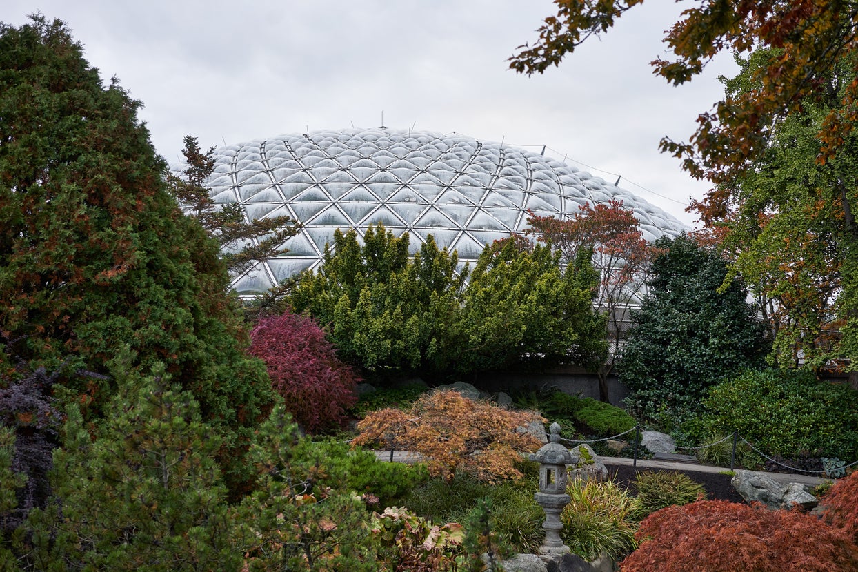 View of the Bloedel Conservatory in Vancouver's Queen Elizabeth Park, surrounded by lush greenery, offering a glimpse into the vibrant neighbourhoods and real estate options nearby.