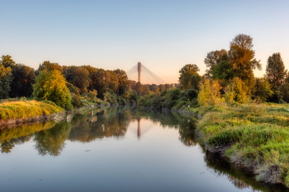 Scenic view of a calm river surrounded by lush greenery in Port Coquitlam, with a bridge in the background, showcasing the natural beauty and real estate opportunities in the area.