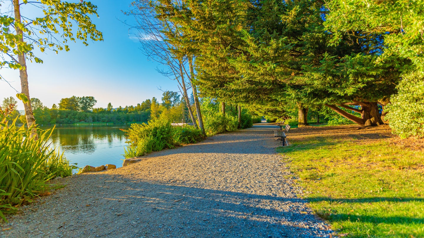 Scenic walking path along Como Lake in Coquitlam, surrounded by lush greenery, offering tranquil real estate opportunities nearby