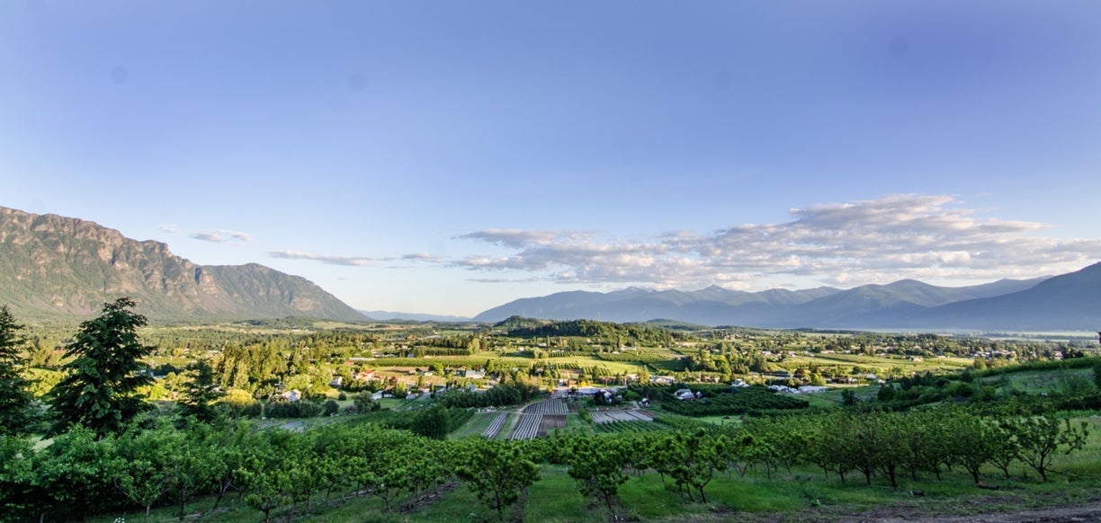 Creston Valley orchards and farmland