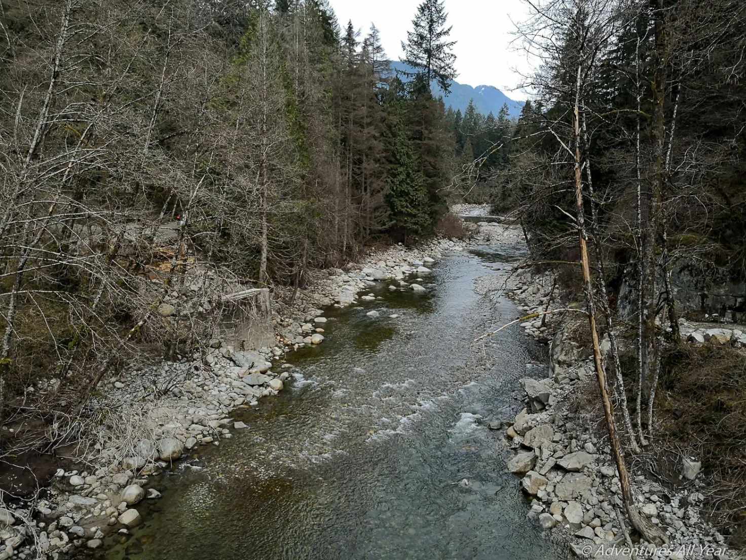 Blueridge family homes with mountain access in North Vancouver