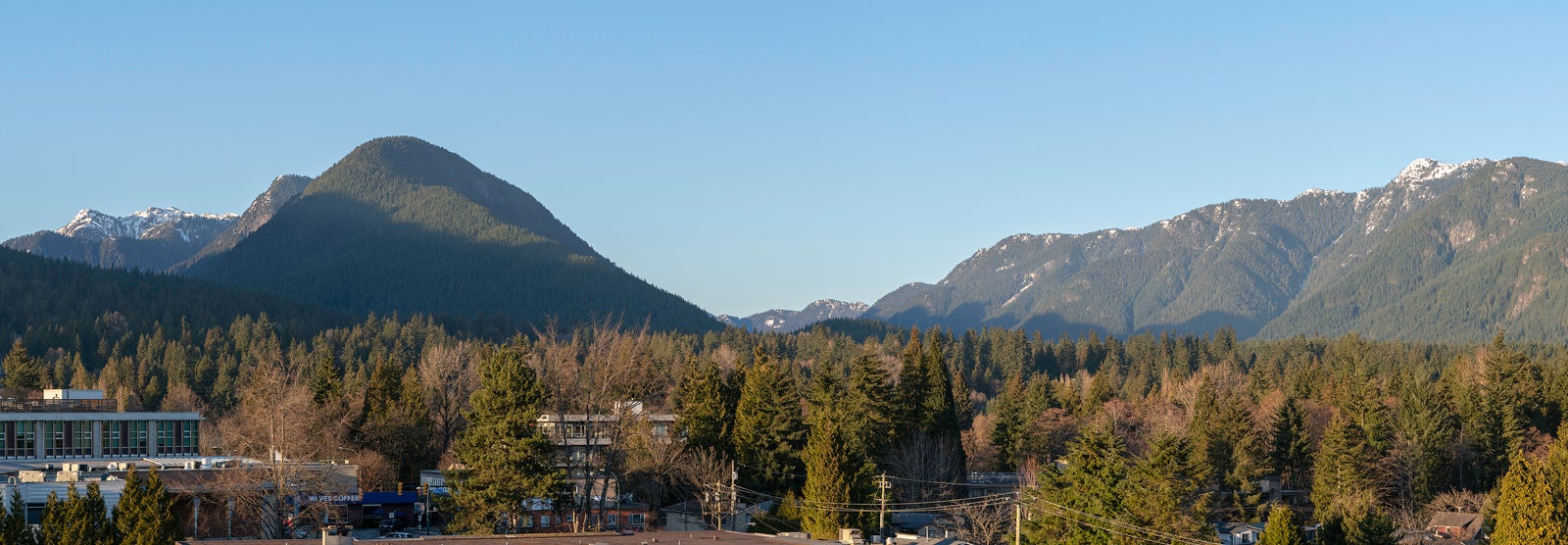 Lynn Valley homes and forested streets in North Vancouver