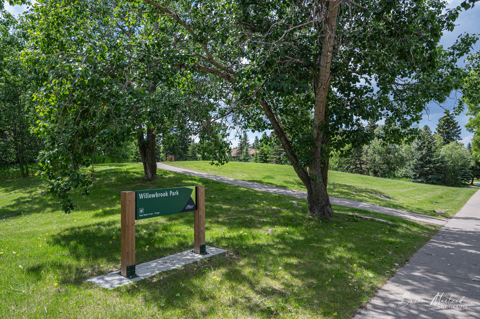 trees, green grass, path winds through Willowbrook Park