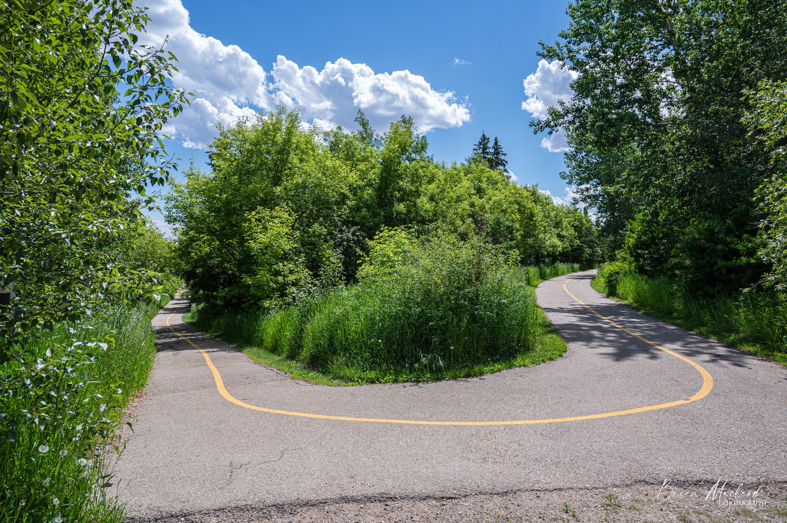 public path - hairpin turn - yellow line down the middle, in Oakmont, St Albert