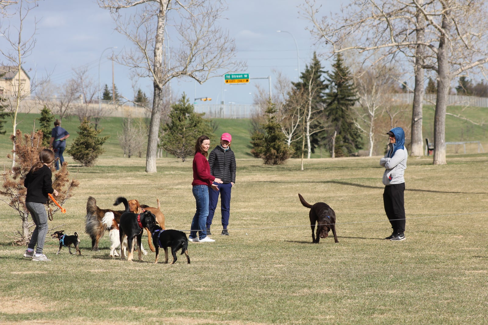 One of Triwood Off Leash Area's